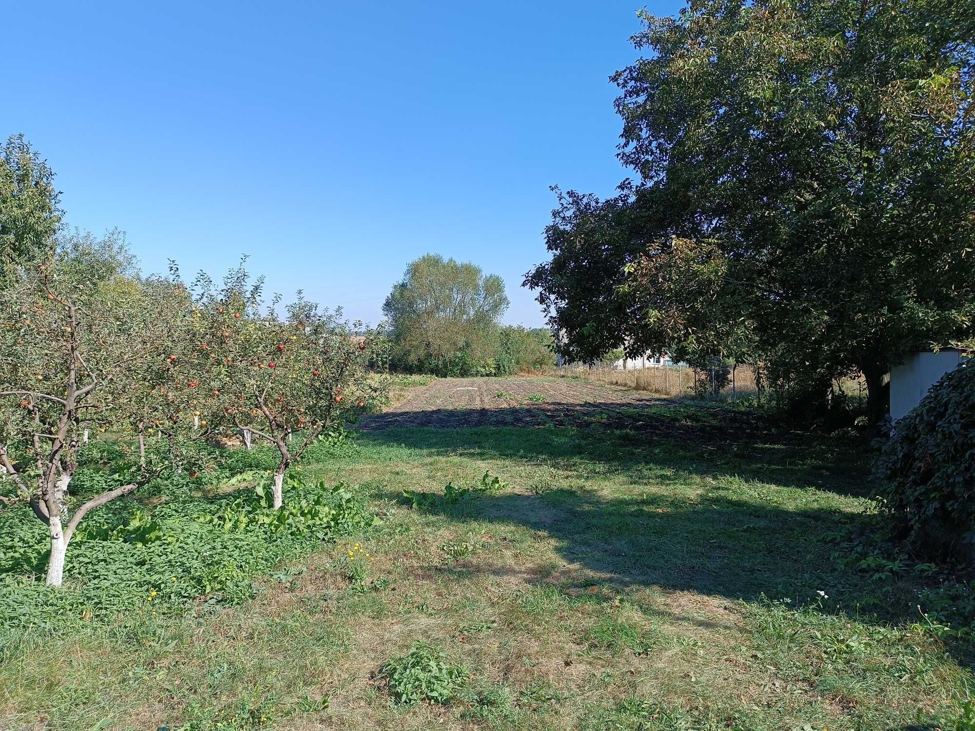 Фото ПЛОЩА - 21 CОТ., ЦІНА - 22 000 $
 у Вінниці