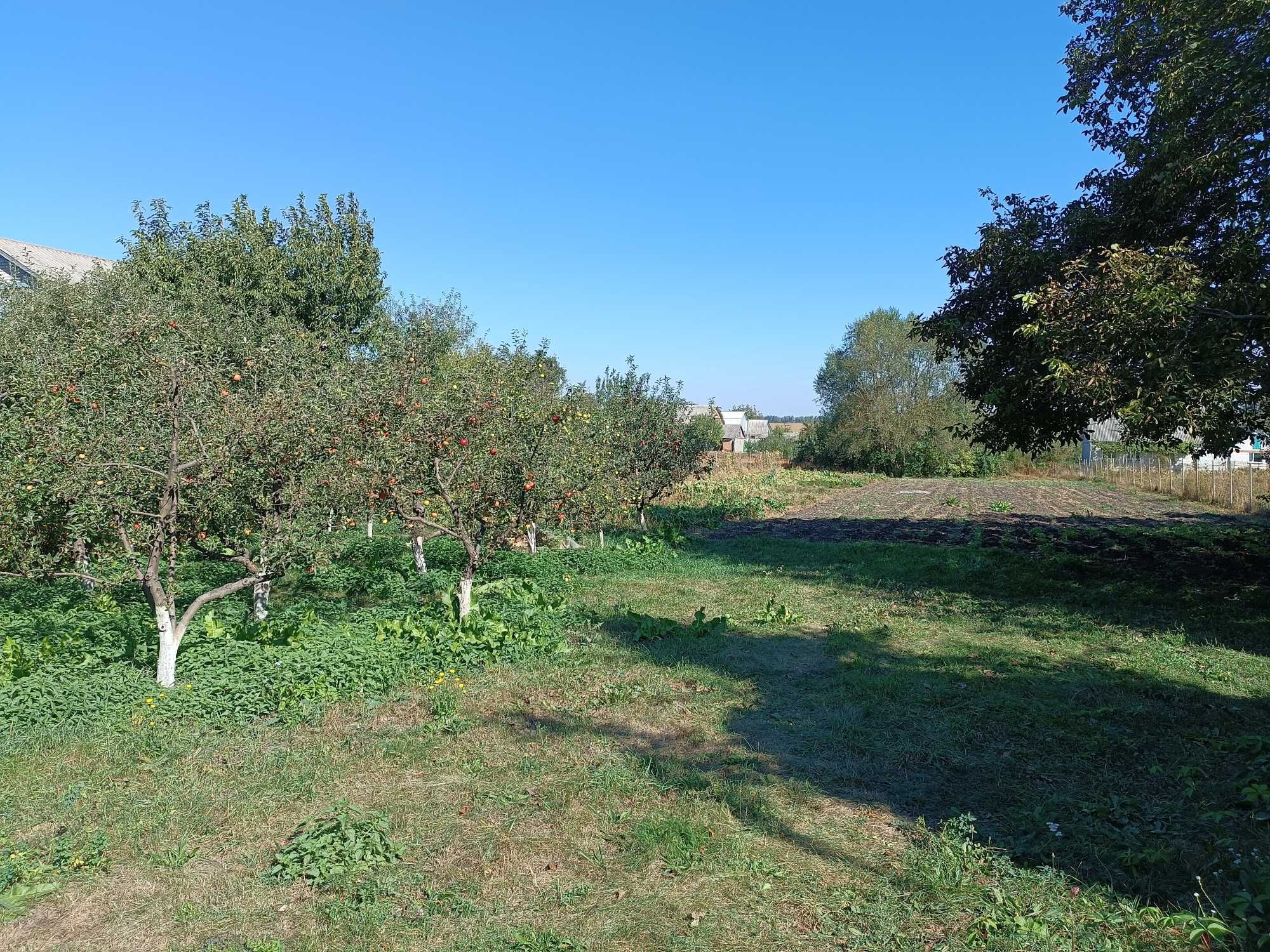 Фото ПЛОЩА - 21 CОТ., ЦІНА - 22 000 $
 у Вінниці