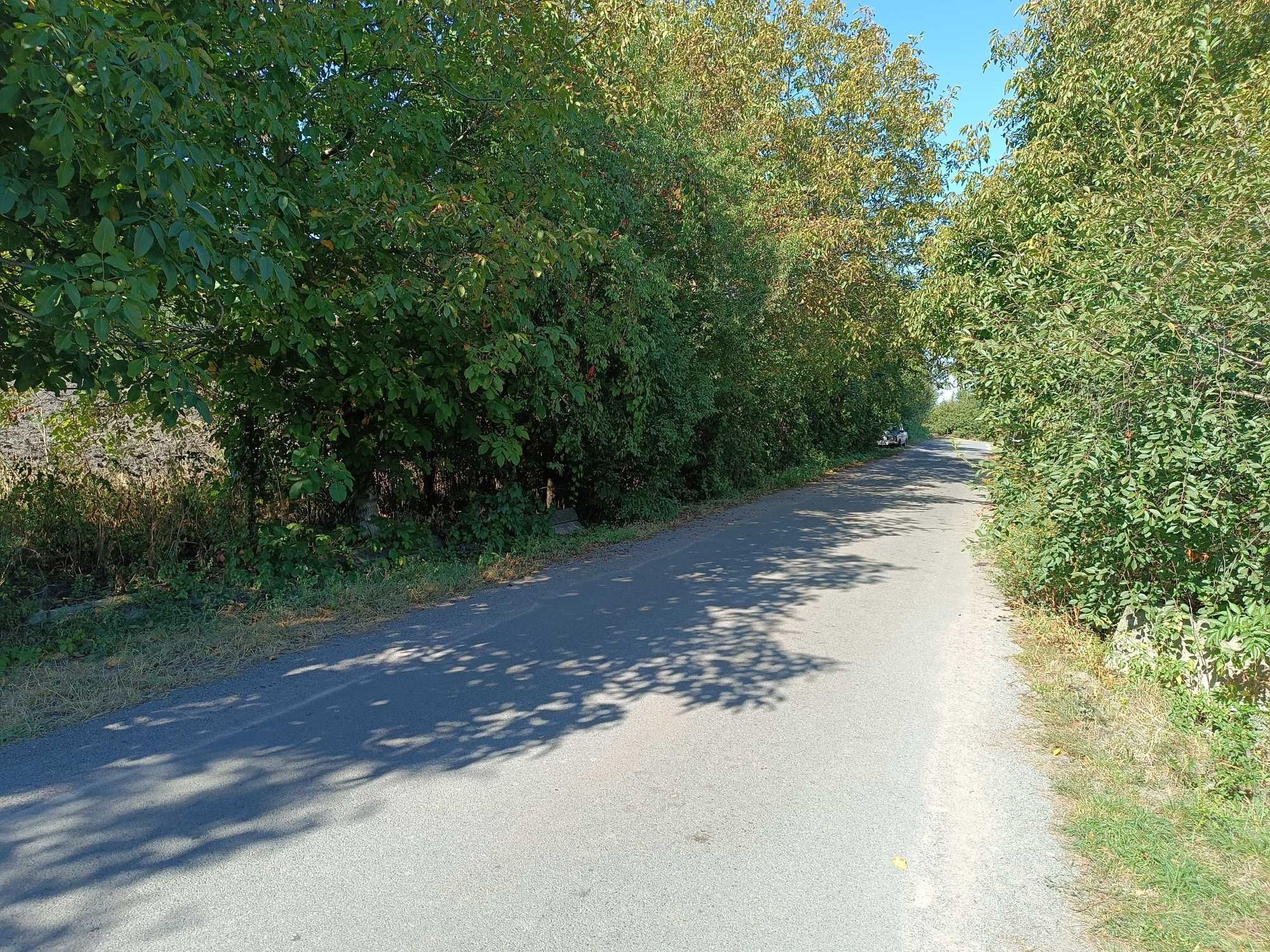 Фото ПЛОЩА - 21 CОТ., ЦІНА - 22 000 $
 у Вінниці