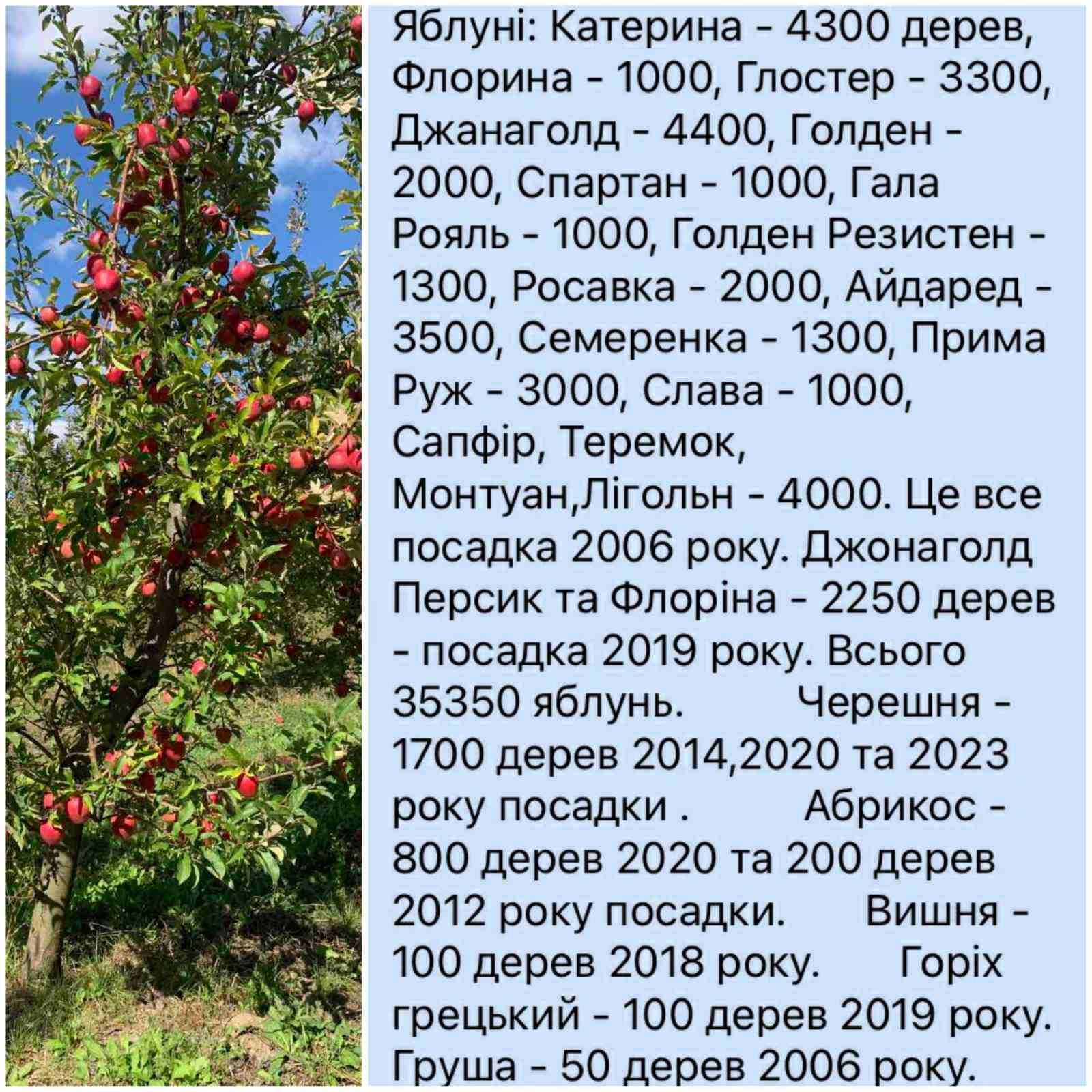 Обʼєкт нерухомості: ПЛОЩА - 473 м², ЦІНА - 760 000 $
 — HUBTRUST, Вінниця