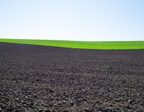 ПЛОЩА - 2.5 CОТ., ЦІНА - 12 000 $
