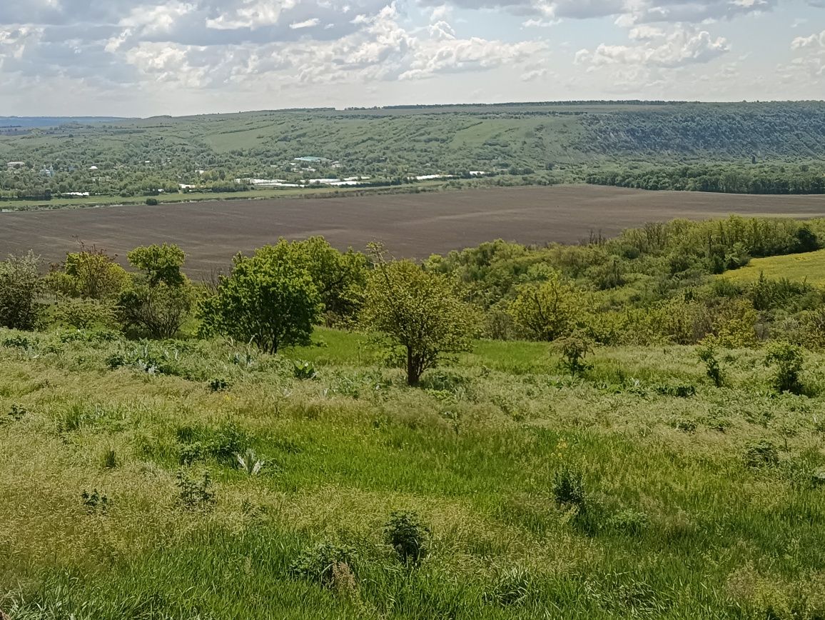 Обʼєкт нерухомості: ПЛОЩА - 800 CОТ., ЦІНА - 24 $
 — HUBTRUST, Вінниця