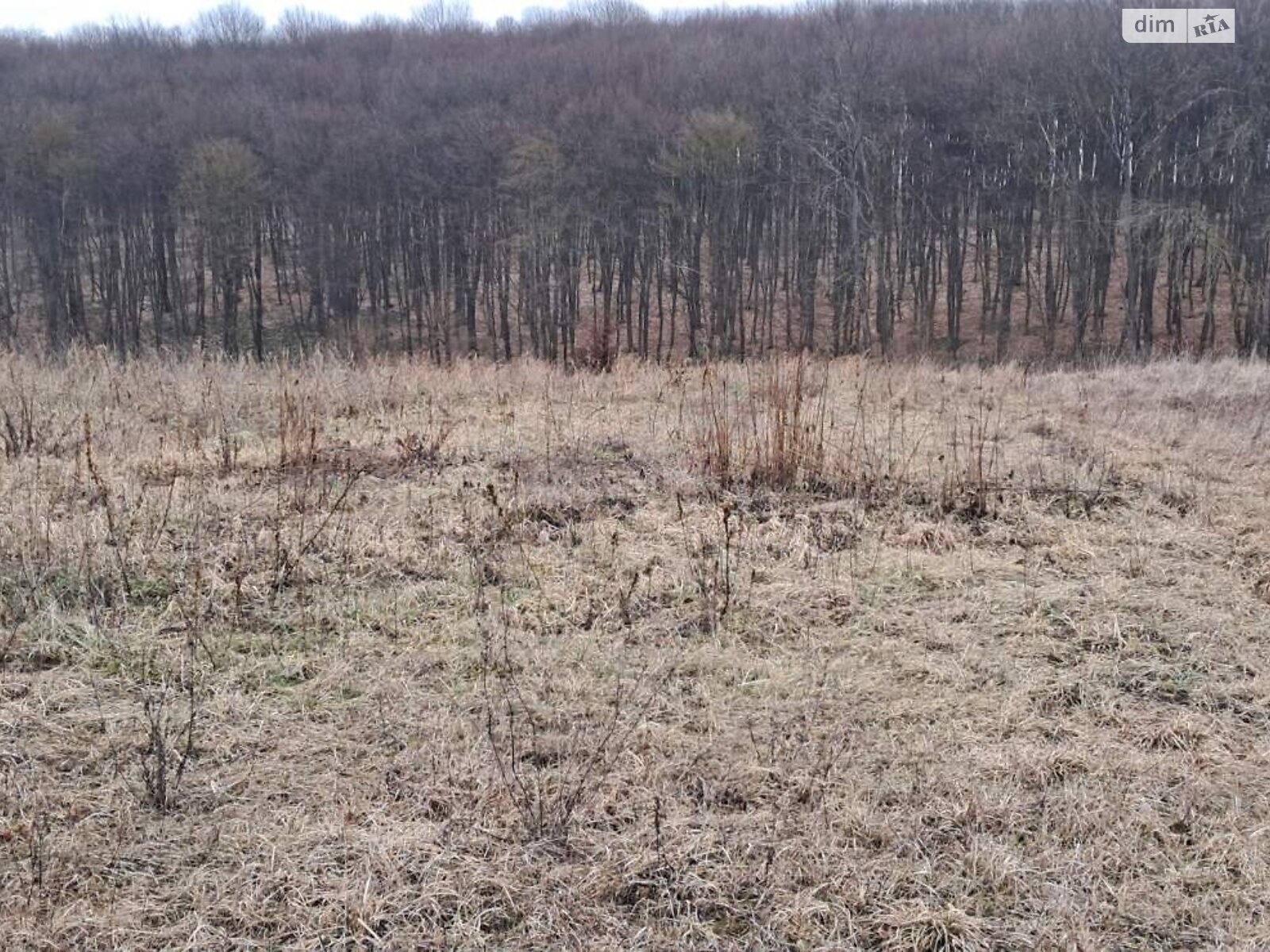 Обʼєкт нерухомості: 1 КІМ. БУДИНОК, ПЛОЩА - 34.4 м², ЦІНА - 8 000 $
, вул. Лісова — HUBTRUST, Вінниця
