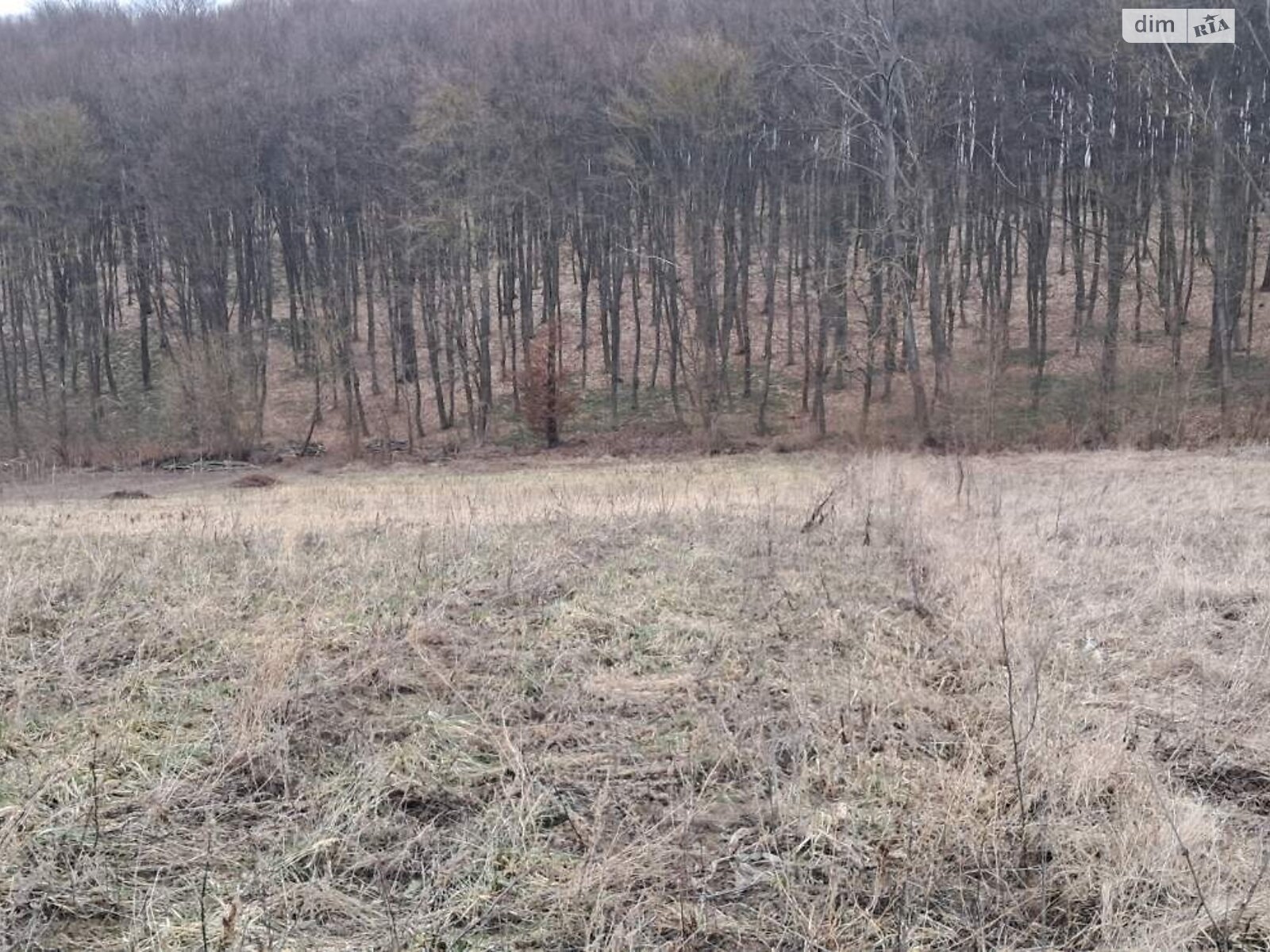 Обʼєкт нерухомості: 1 КІМ. БУДИНОК, ПЛОЩА - 34.4 м², ЦІНА - 8 000 $
, вул. Лісова — HUBTRUST, Вінниця