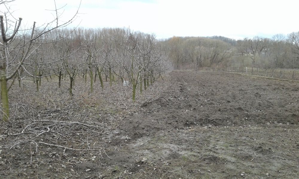 Обʼєкт нерухомості: 3 КІМ. БУДИНОК, ПЛОЩА - 100 м², ЦІНА - 5 000 $
 — HUBTRUST, Вінниця