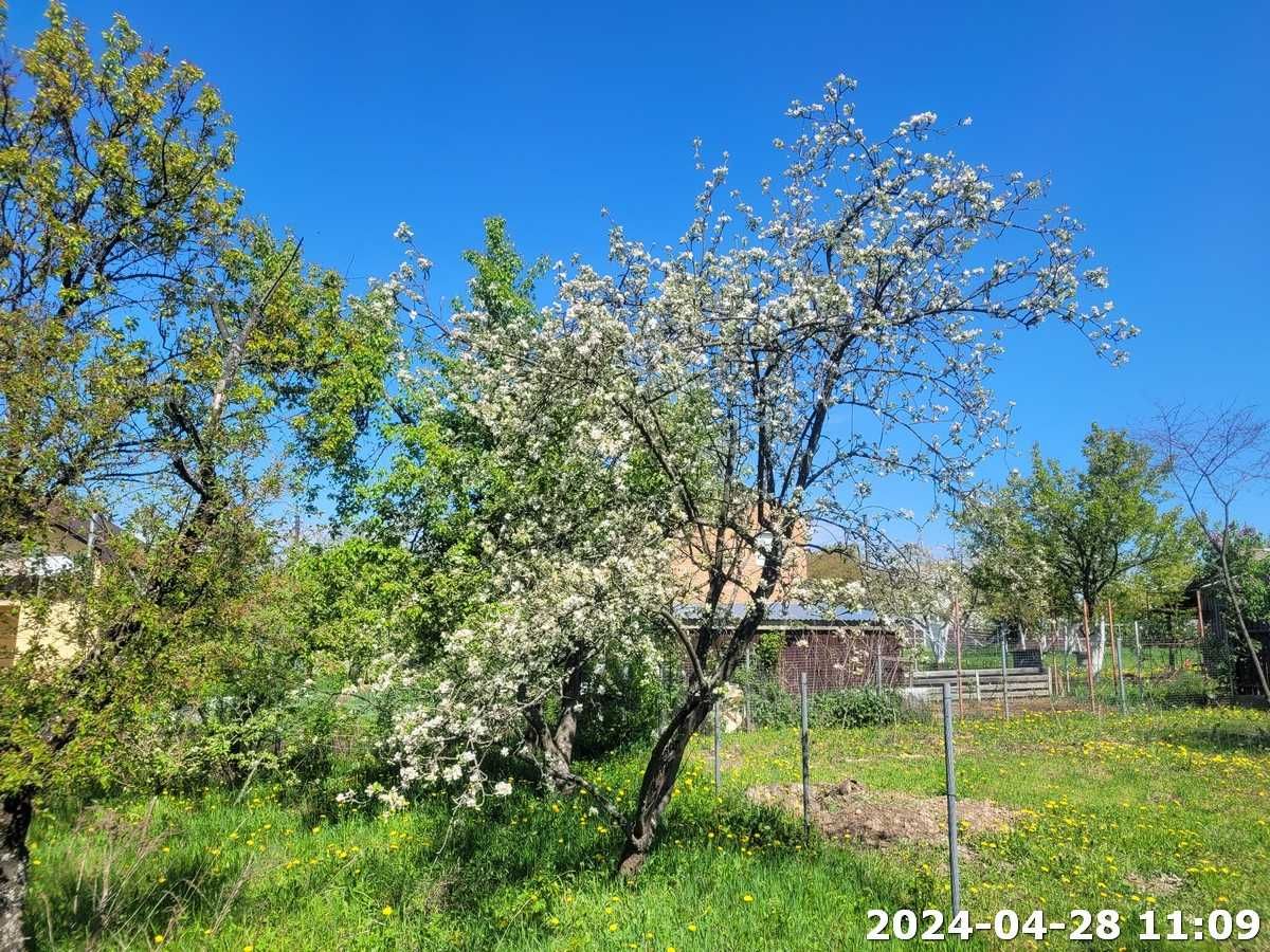 Обʼєкт нерухомості: 2 КІМ. БУДИНОК, ПЛОЩА - 30 м², ЦІНА - 10 000 $
 — HUBTRUST, Вінниця