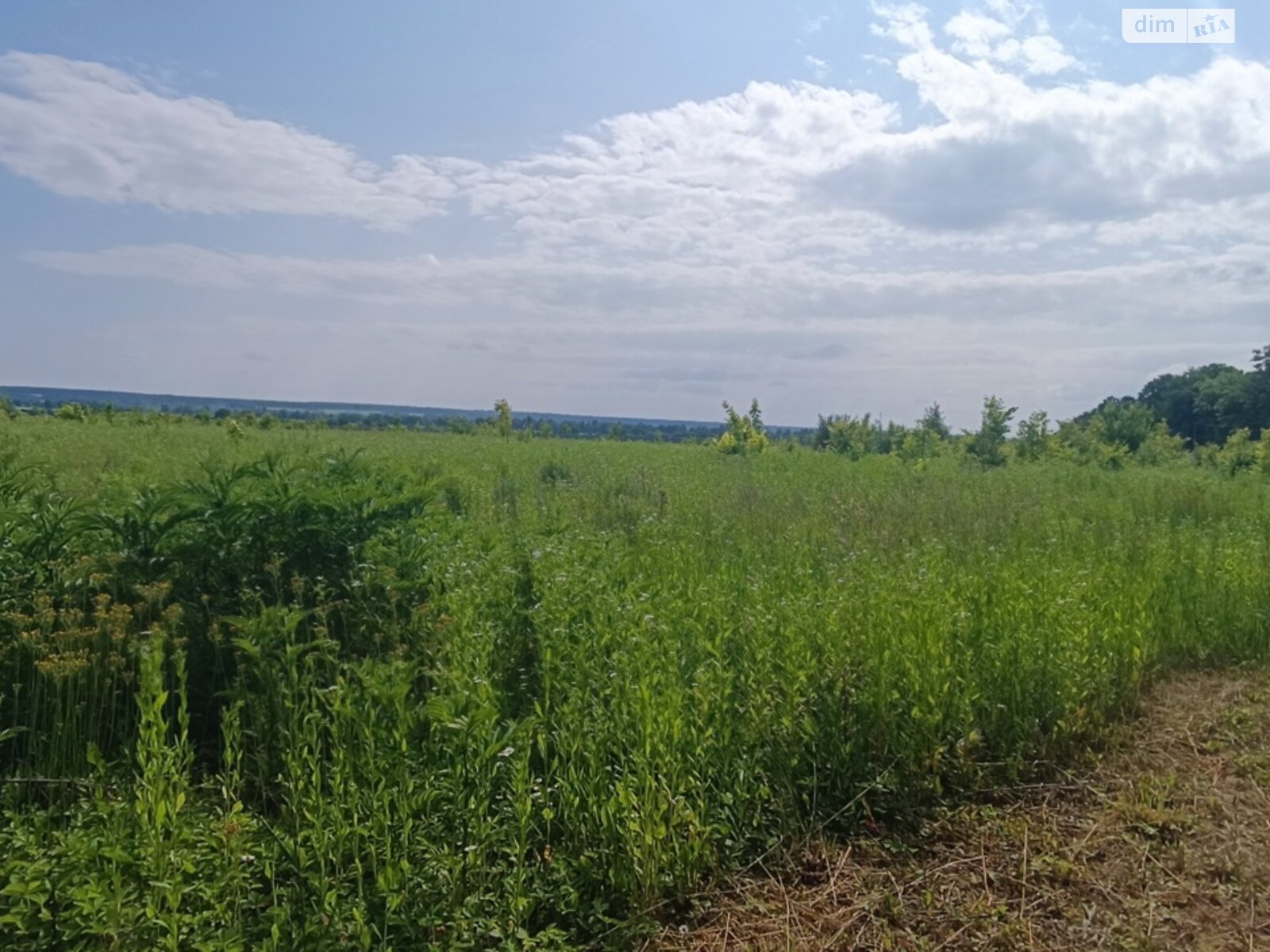 Обʼєкт нерухомості: ПЛОЩА - 8 CОТ., ЦІНА - 1 000 000 $
, вул. 1-го Травня — HUBTRUST, Вінниця
