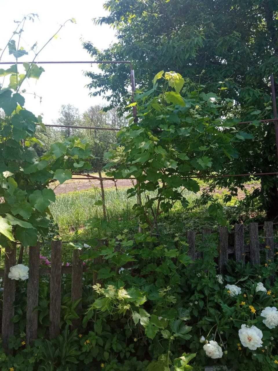 Обʼєкт нерухомості: 3 КІМ. БУДИНОК, ПЛОЩА - 72 м², ЦІНА - 2 000 $
 — HUBTRUST, Вінниця