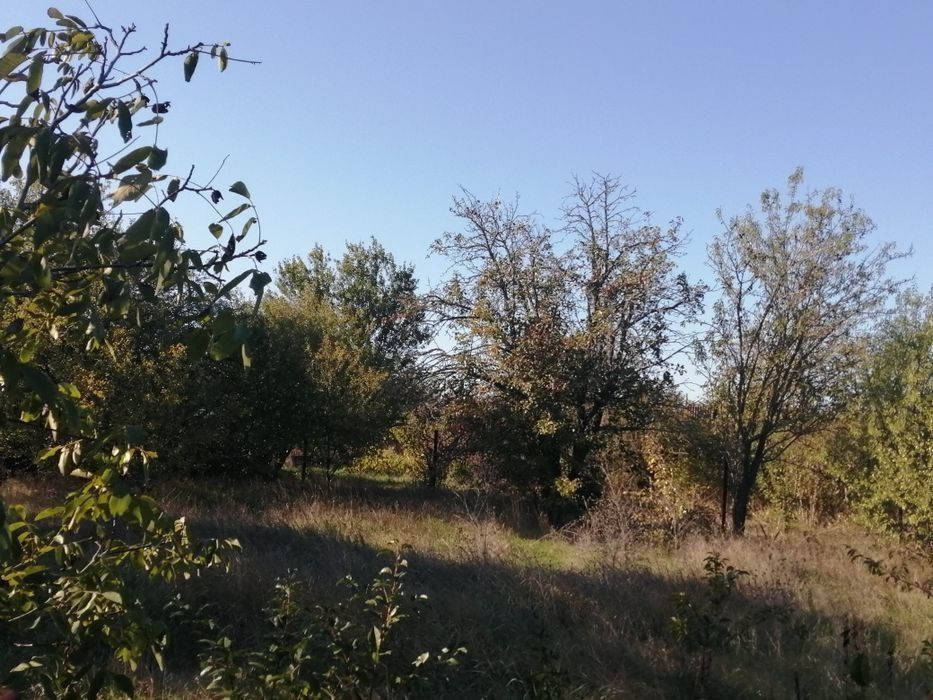 Фото ПЛОЩА - 8 CОТ., ЦІНА - 1 000 $
 у Вінниці