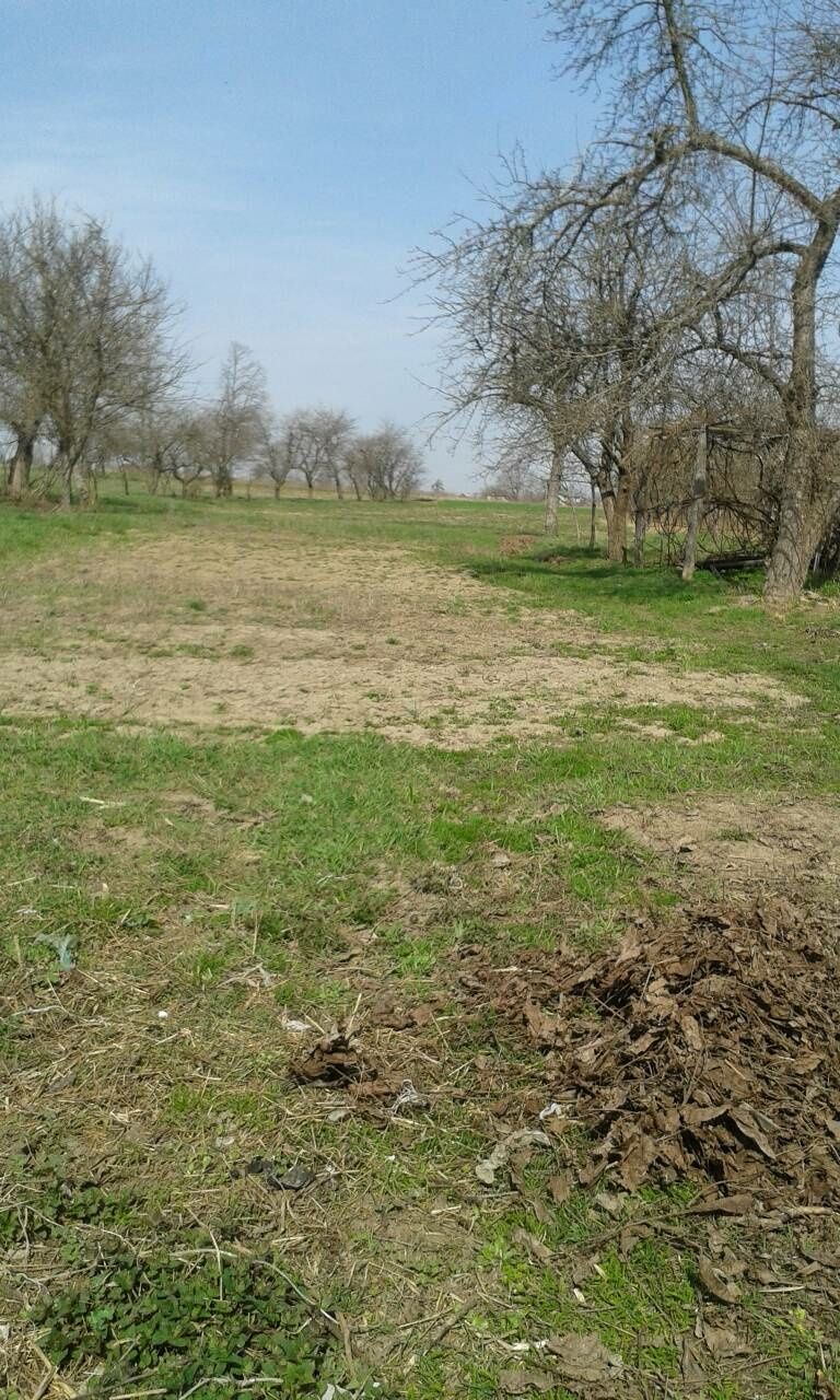 Фото ПЛОЩА - 39 CОТ., ЦІНА - 30 000 $
 у Вінниці