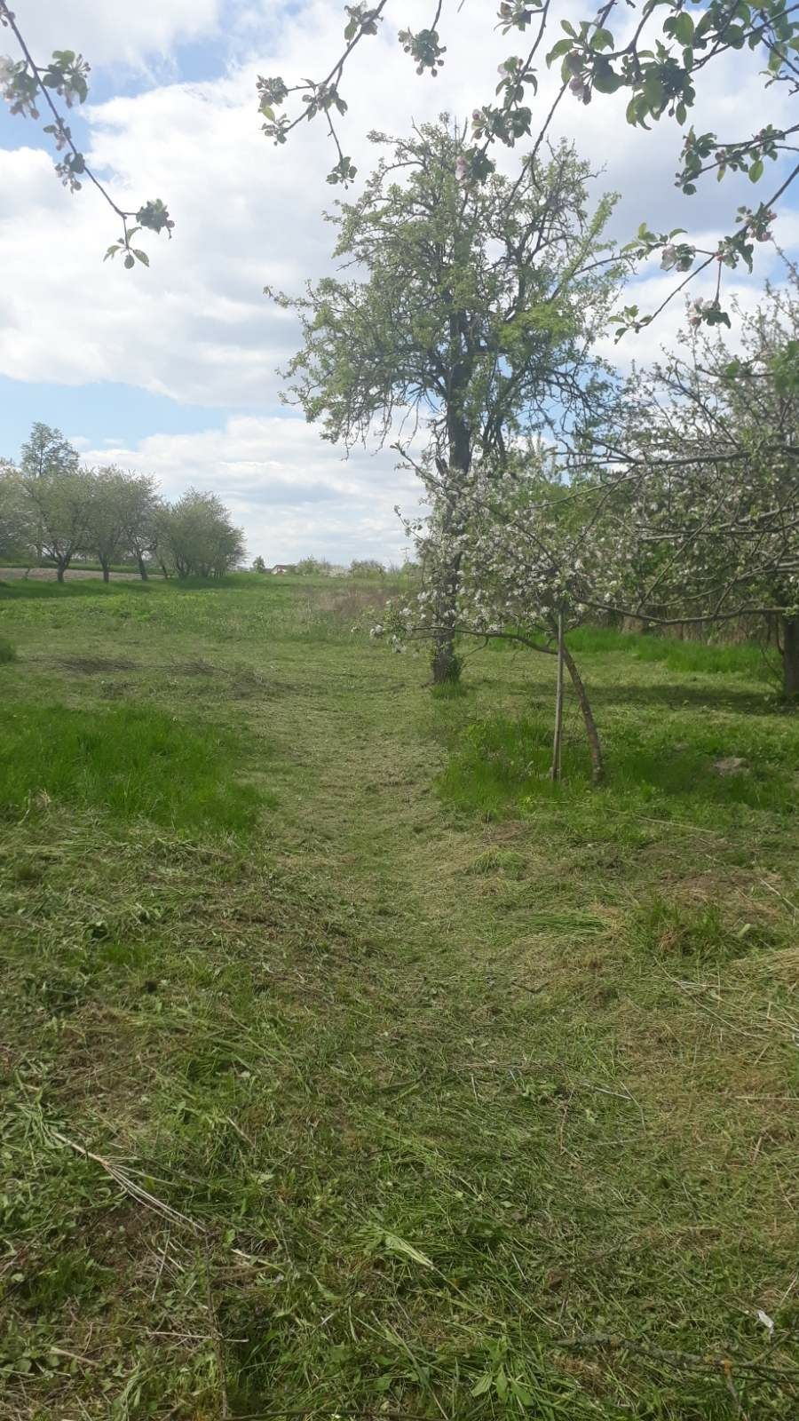 Фото ПЛОЩА - 39 CОТ., ЦІНА - 30 000 $
 у Вінниці