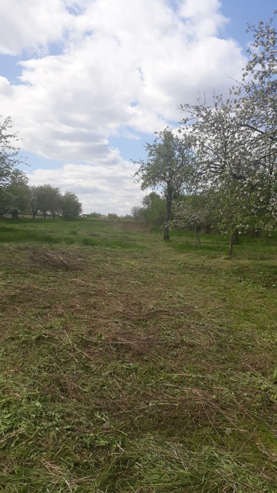 Фото ПЛОЩА - 39 CОТ., ЦІНА - 30 000 $
 у Вінниці