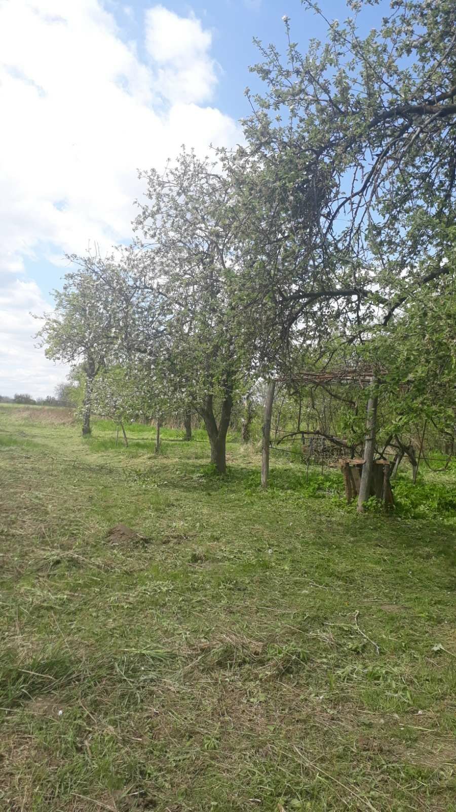 Фото ПЛОЩА - 39 CОТ., ЦІНА - 30 000 $
 у Вінниці