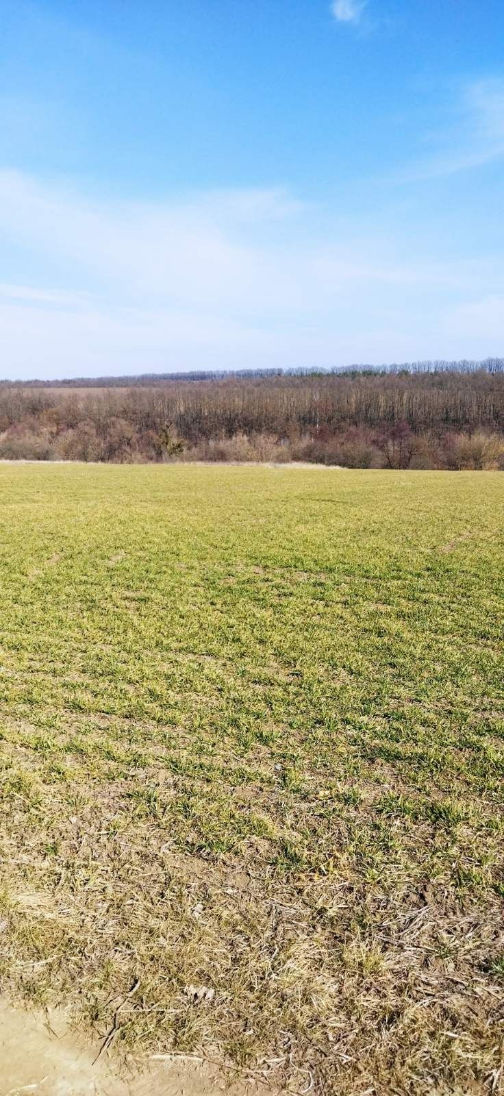 Фото ПЛОЩА - 20 CОТ., ЦІНА - 770 $
 у Вінниці