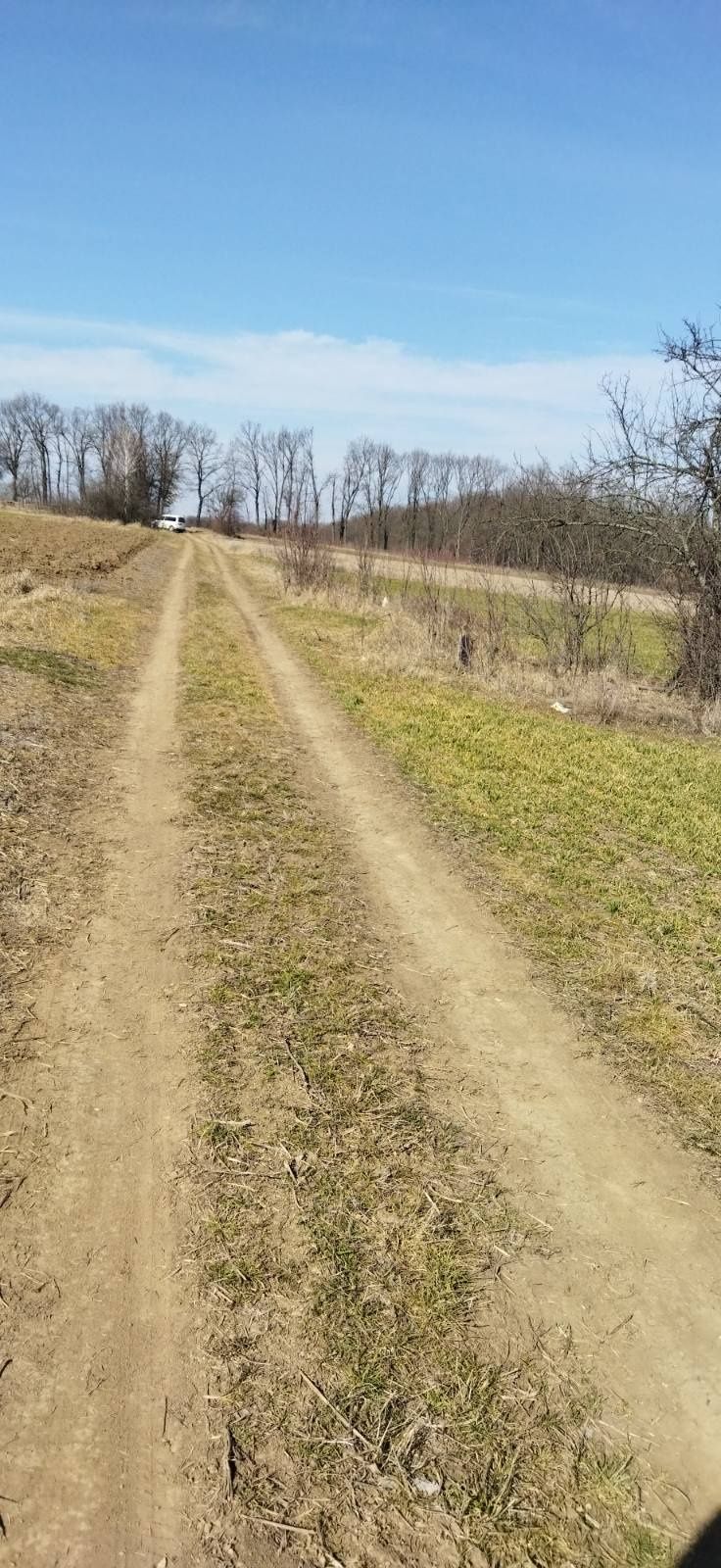 Фото ПЛОЩА - 20 CОТ., ЦІНА - 770 $
 у Вінниці