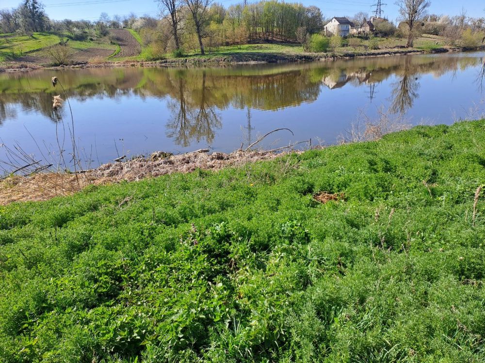 Фото ПЛОЩА - 52 CОТ., ЦІНА - 65 000 $
, Староміський у Вінниці