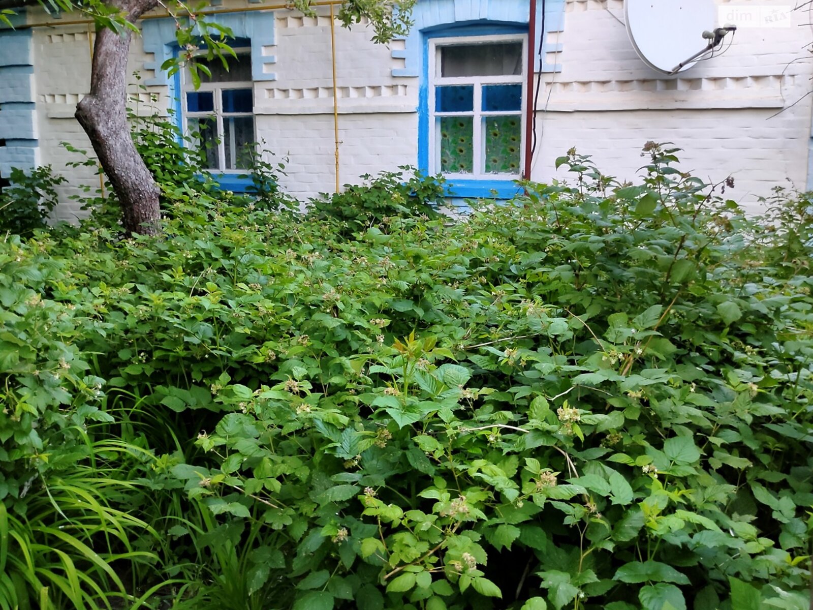 2 КІМ. БУДИНОК, ПЛОЩА - 102.7 м², ЦІНА - 6 000 $
