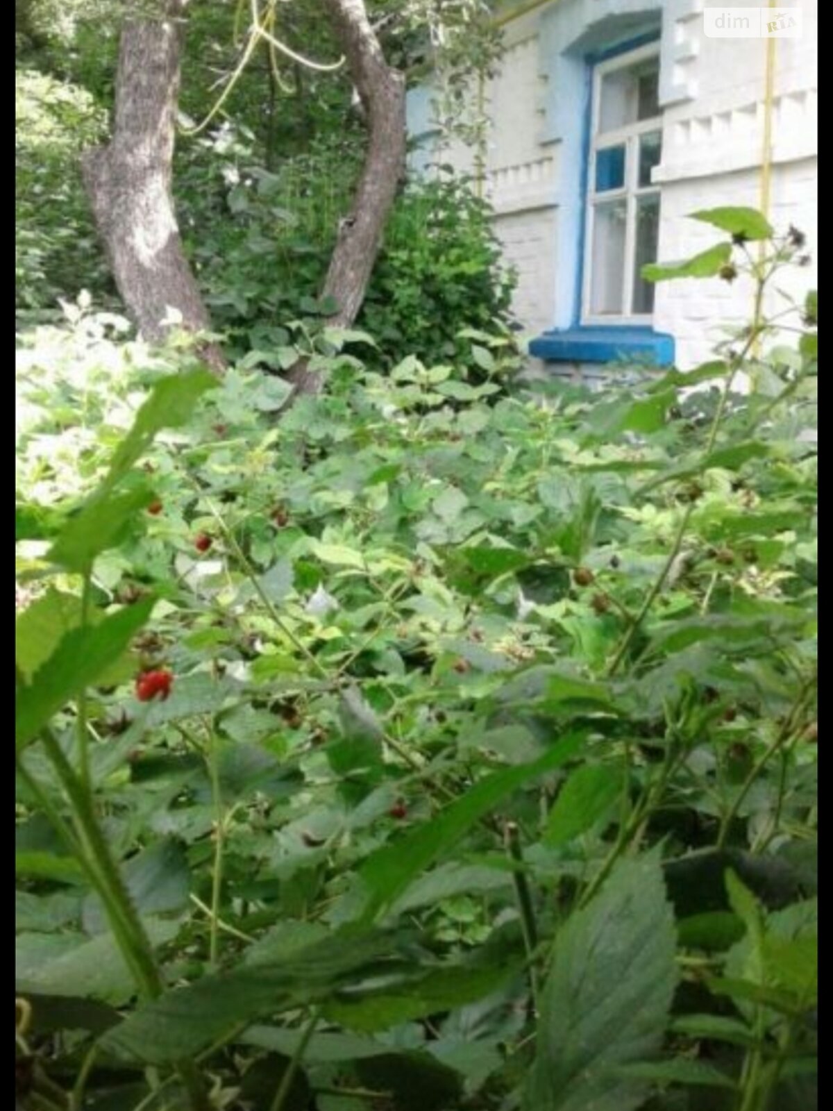 Обʼєкт нерухомості: 2 КІМ. БУДИНОК, ПЛОЩА - 102.7 м², ЦІНА - 6 000 $
 — HUBTRUST, Вінниця