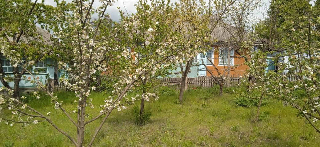 Обʼєкт нерухомості: 5 КІМ. БУДИНОК, ПЛОЩА - 75 м², ЦІНА - 6 020 $
 — HUBTRUST, Вінниця