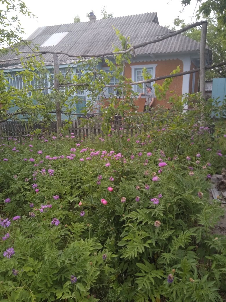 Обʼєкт нерухомості: 5 КІМ. БУДИНОК, ПЛОЩА - 75 м², ЦІНА - 6 020 $
 — HUBTRUST, Вінниця