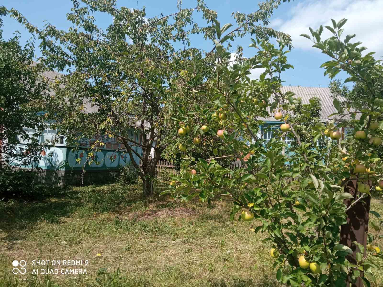 Обʼєкт нерухомості: 5 КІМ. БУДИНОК, ПЛОЩА - 75 м², ЦІНА - 6 020 $
 — HUBTRUST, Вінниця