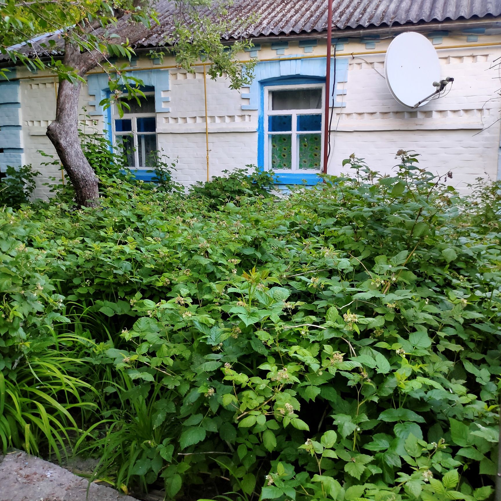 7 КІМ. БУДИНОК, ПЛОЩА - 103 м², ЦІНА - 6 000 $
