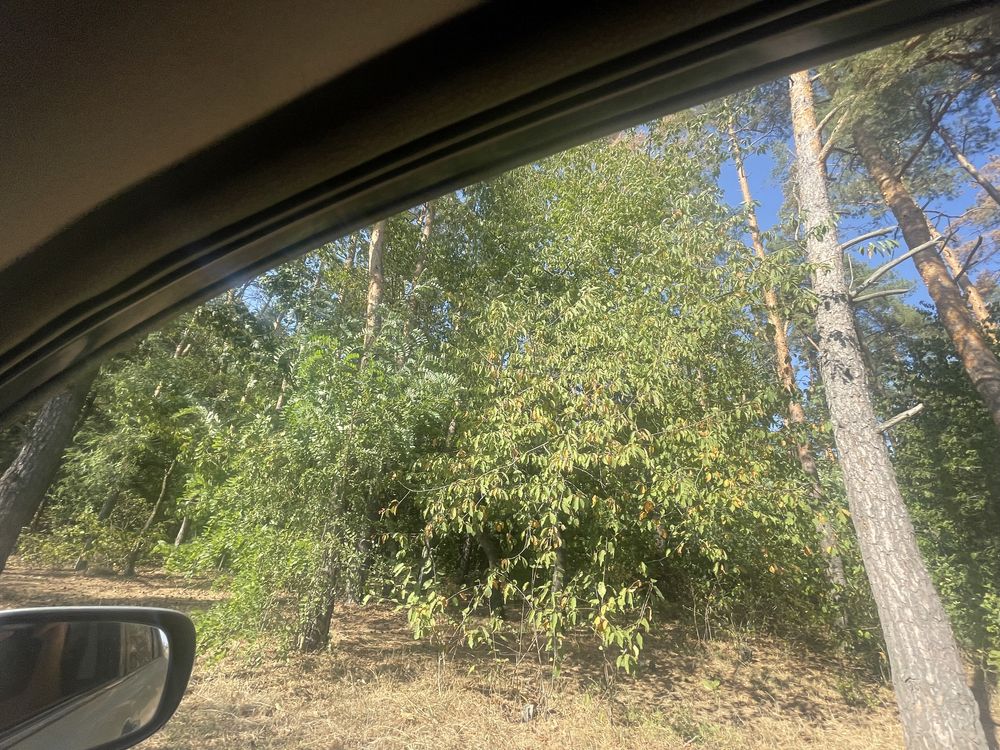Фото об'єкта