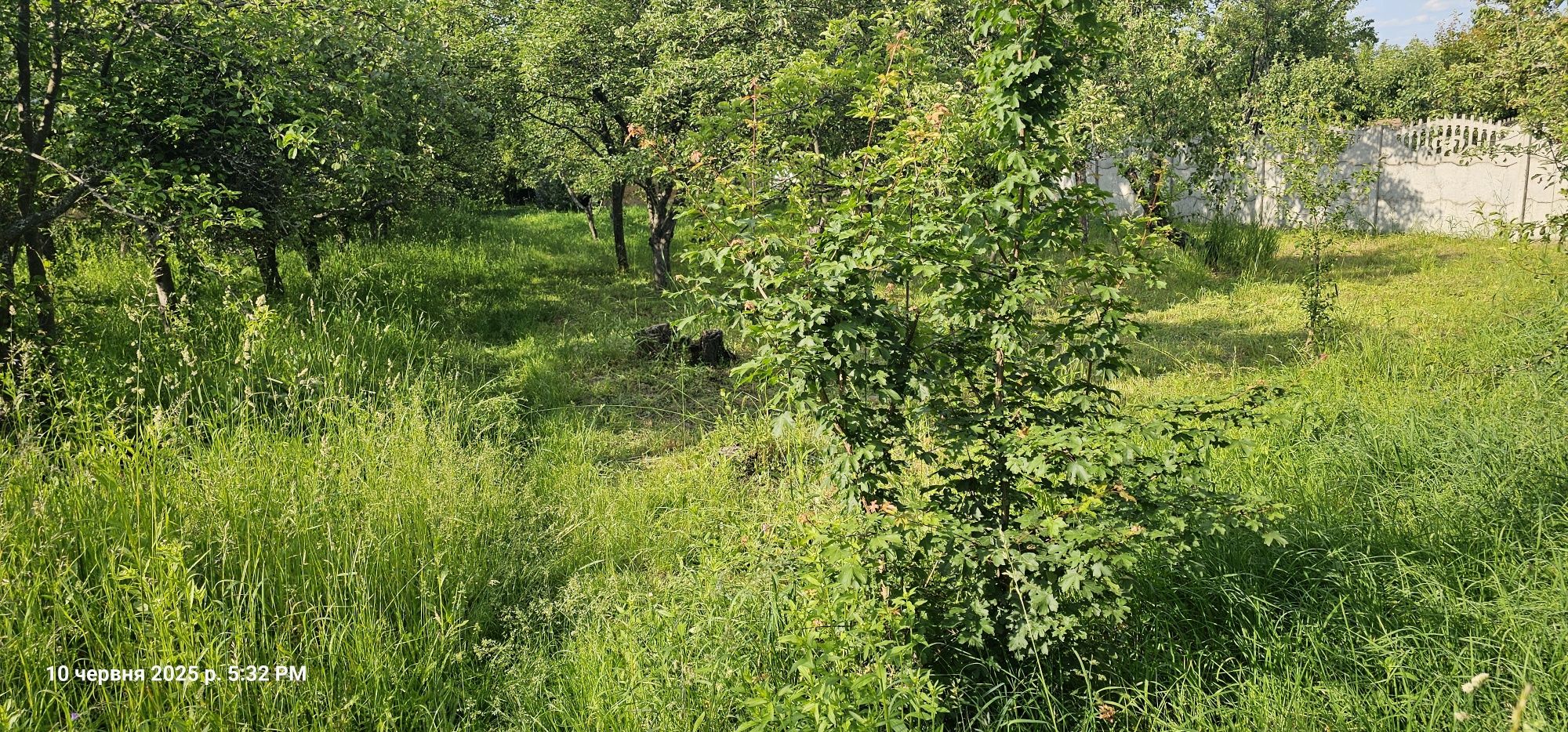 Фото об'єкта