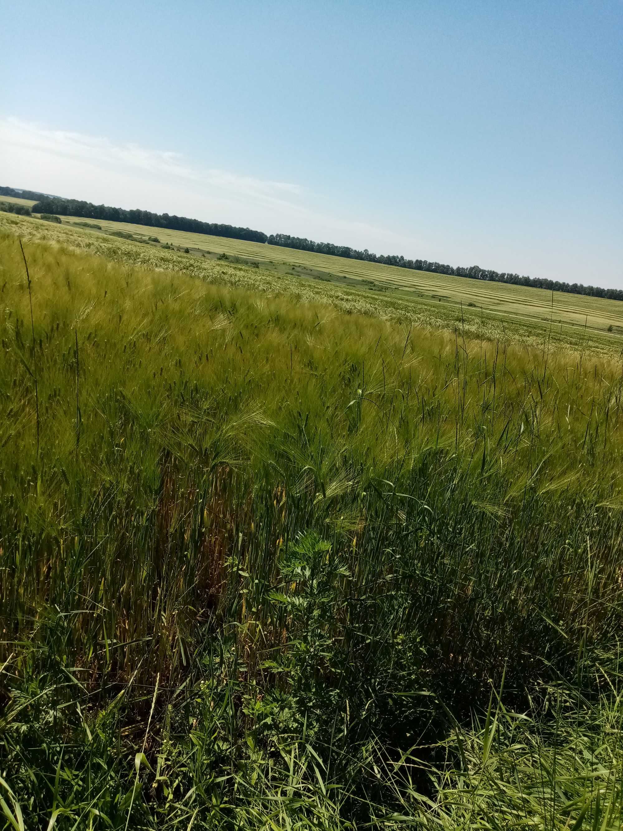 Фото ПЛОЩА - 344 CОТ., ЦІНА - 2 600 $
 у Вінниці