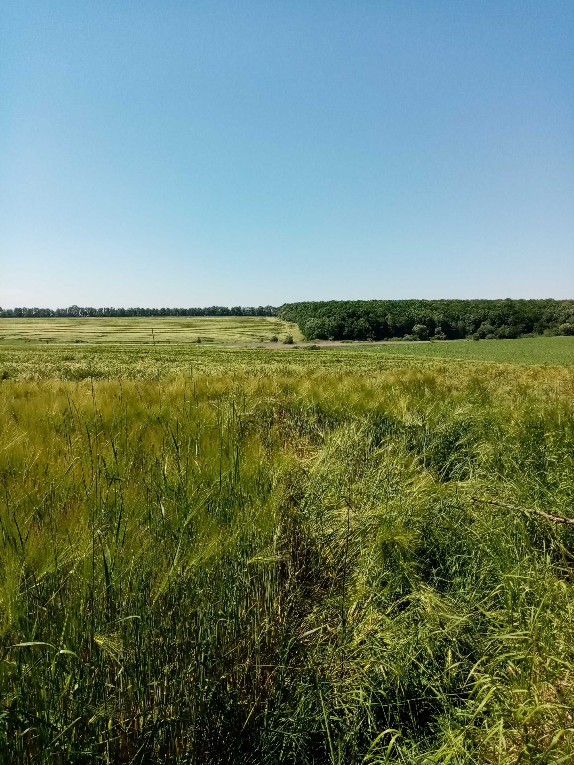 Фото ПЛОЩА - 344 CОТ., ЦІНА - 2 600 $
 у Вінниці