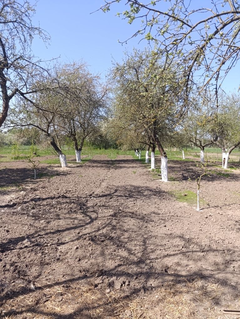 Фото 4 КІМ.  БУДИНОК ПЛОЩА – 140 м², ЦІНА – 118 000$, РАЙОН: Ксаверівка у Вінниці