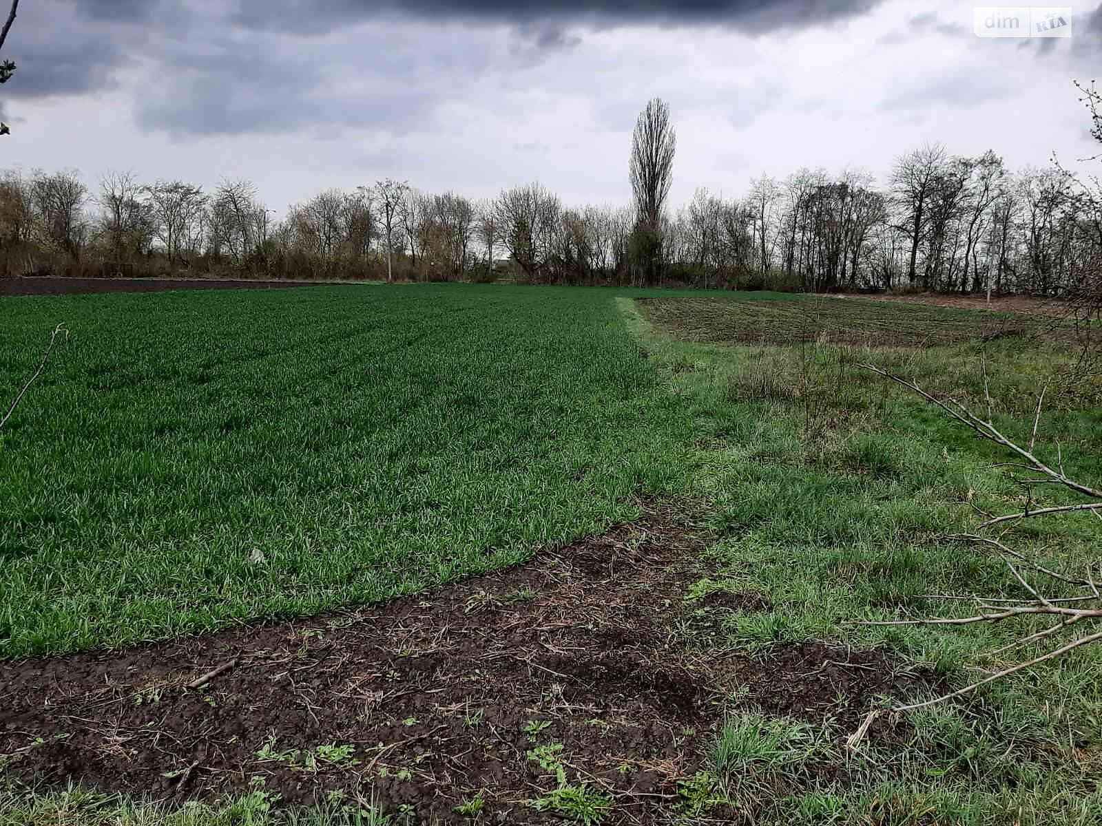 Обʼєкт нерухомості: 3 КІМ. БУДИНОК, ПЛОЩА - 92.2 м², ЦІНА - 7 000 $
 — HUBTRUST, Вінниця