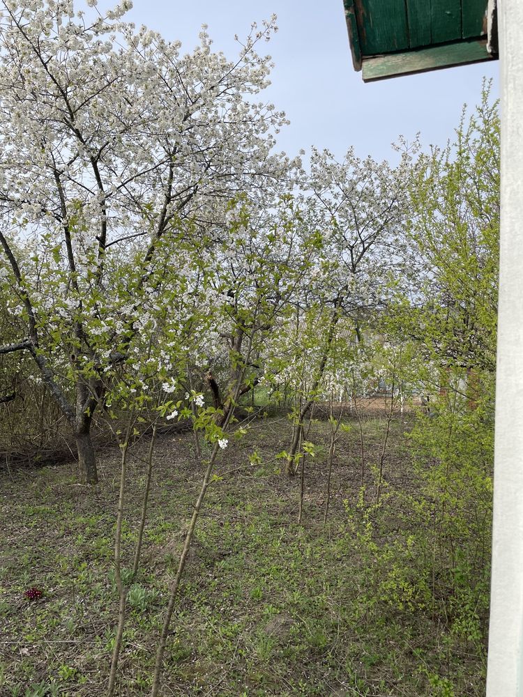 Фото 2 КІМ. БУДИНОК, ПЛОЩА - 70 м², ЦІНА - 4 500 $
 у Вінниці