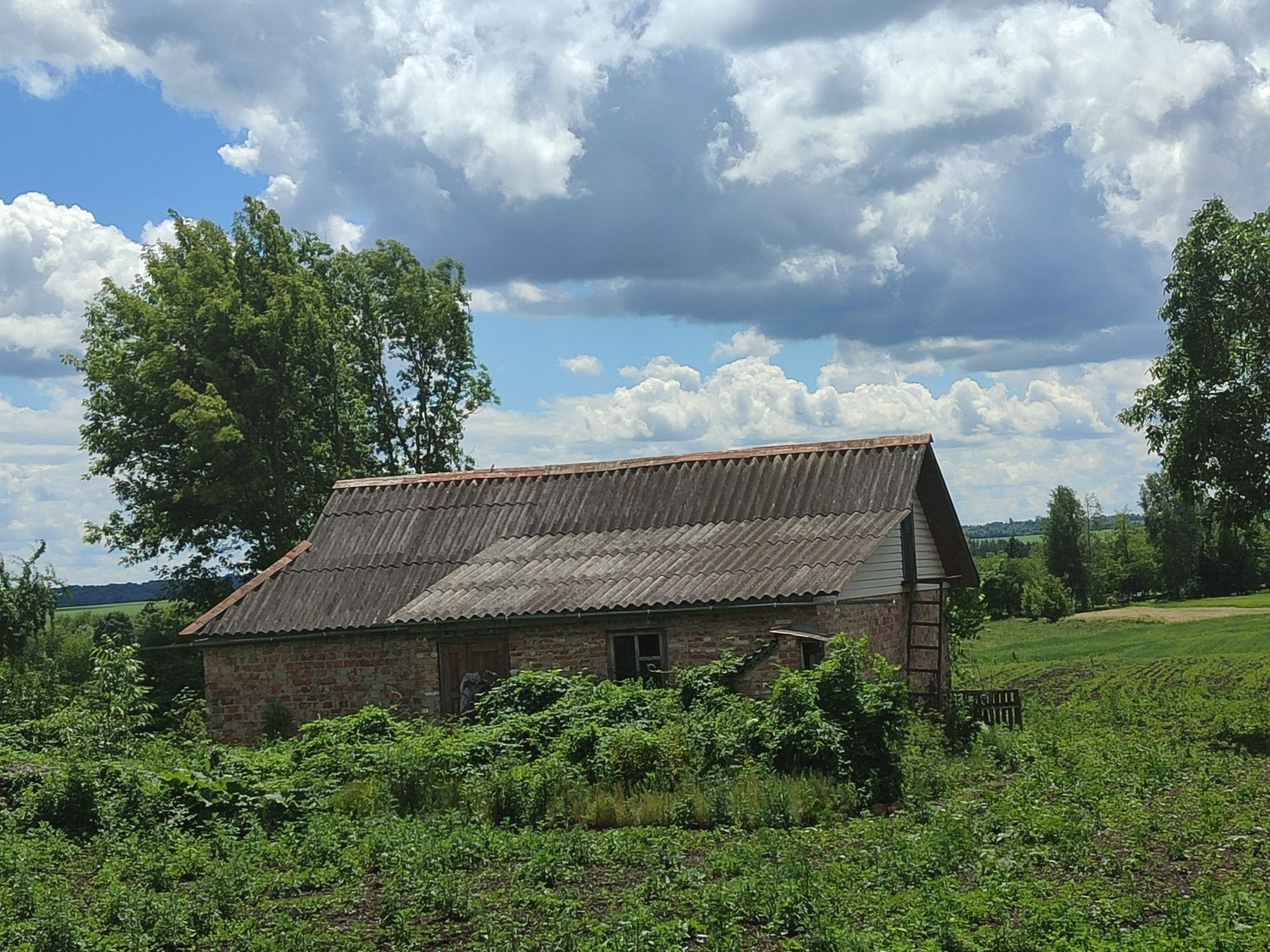 3 КІМ. БУДИНОК, ПЛОЩА - 55 м², ЦІНА - 2 800 $
