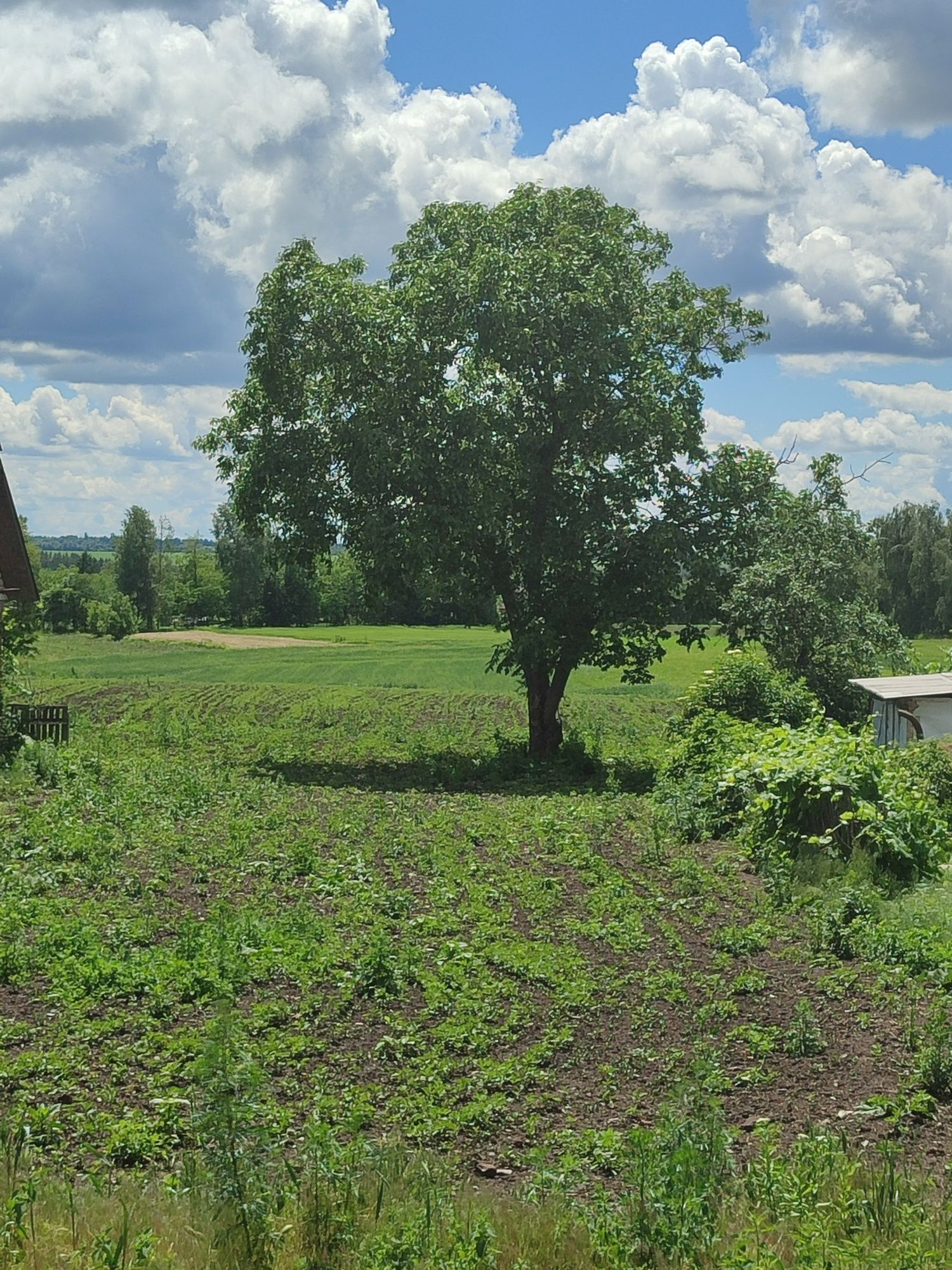Фото 3 КІМ. БУДИНОК, ПЛОЩА - 55 м², ЦІНА - 2 800 $
 у Вінниці