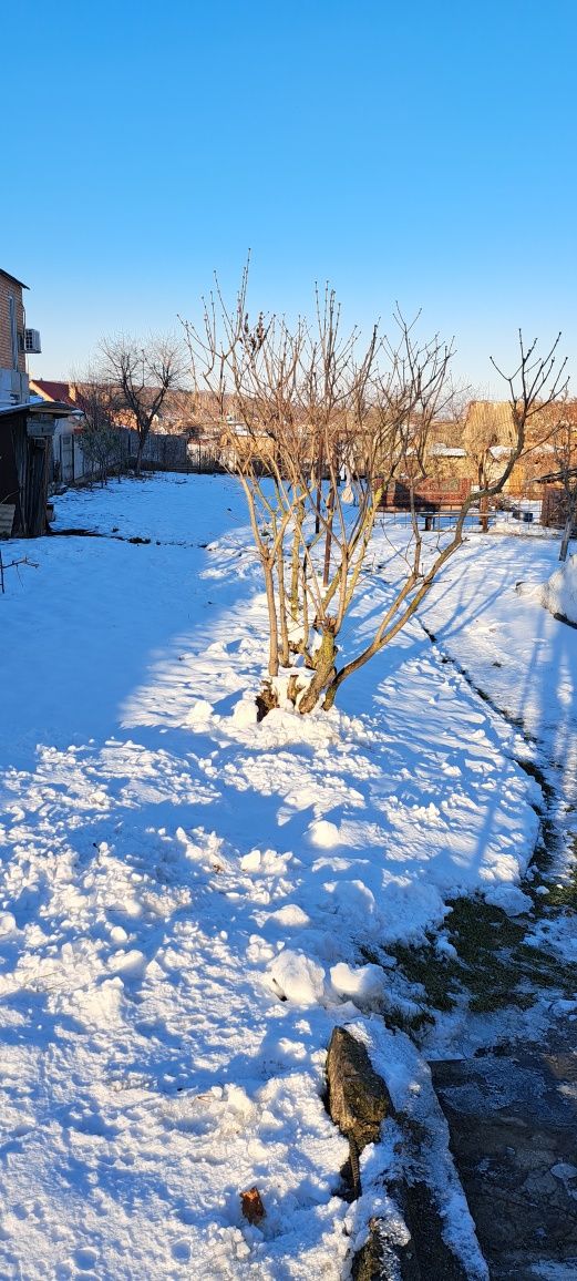 Фото ПЛОЩА - 12 CОТ., ЦІНА - 170 000 $
 у Вінниці