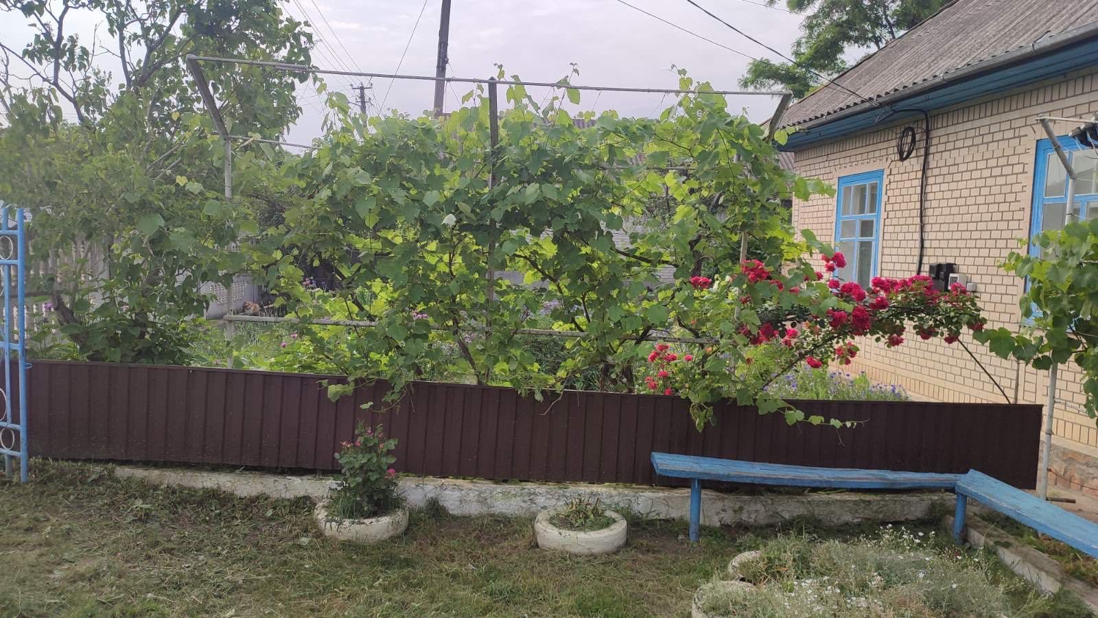 Фото об'єкта
