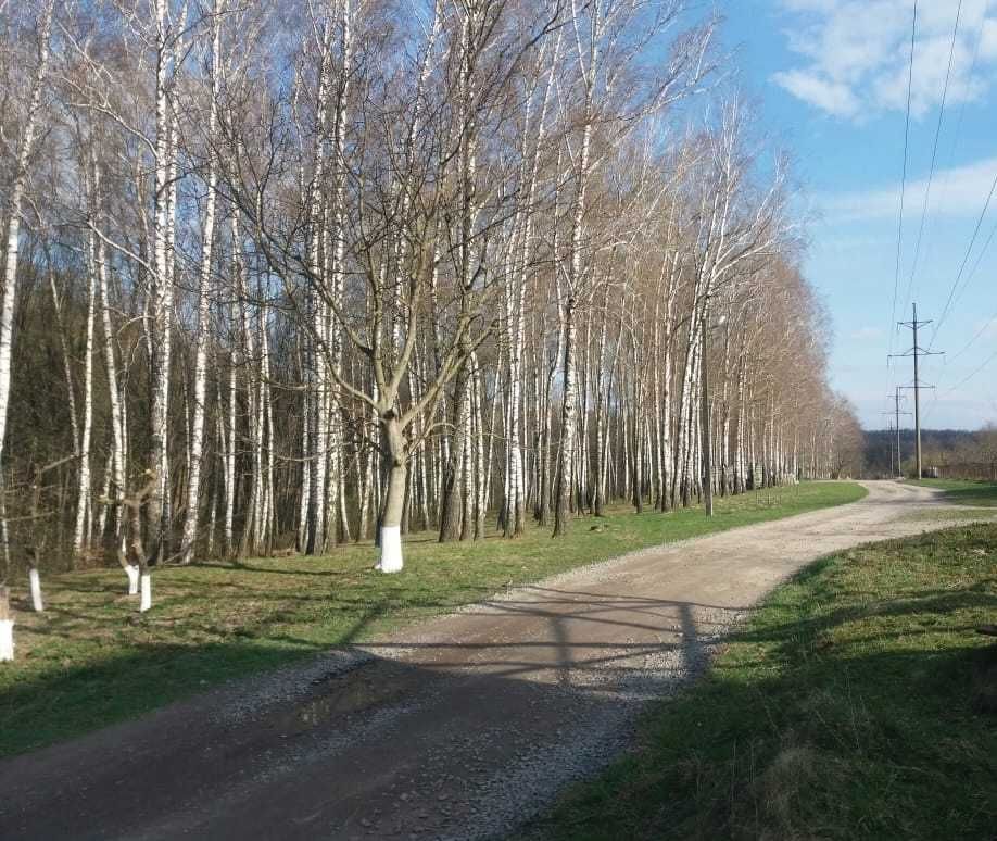 Фото об'єкта