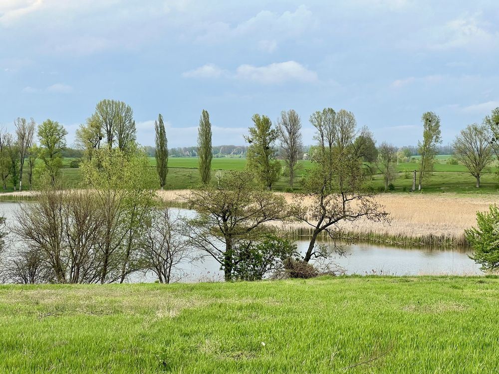 Фото об'єкта