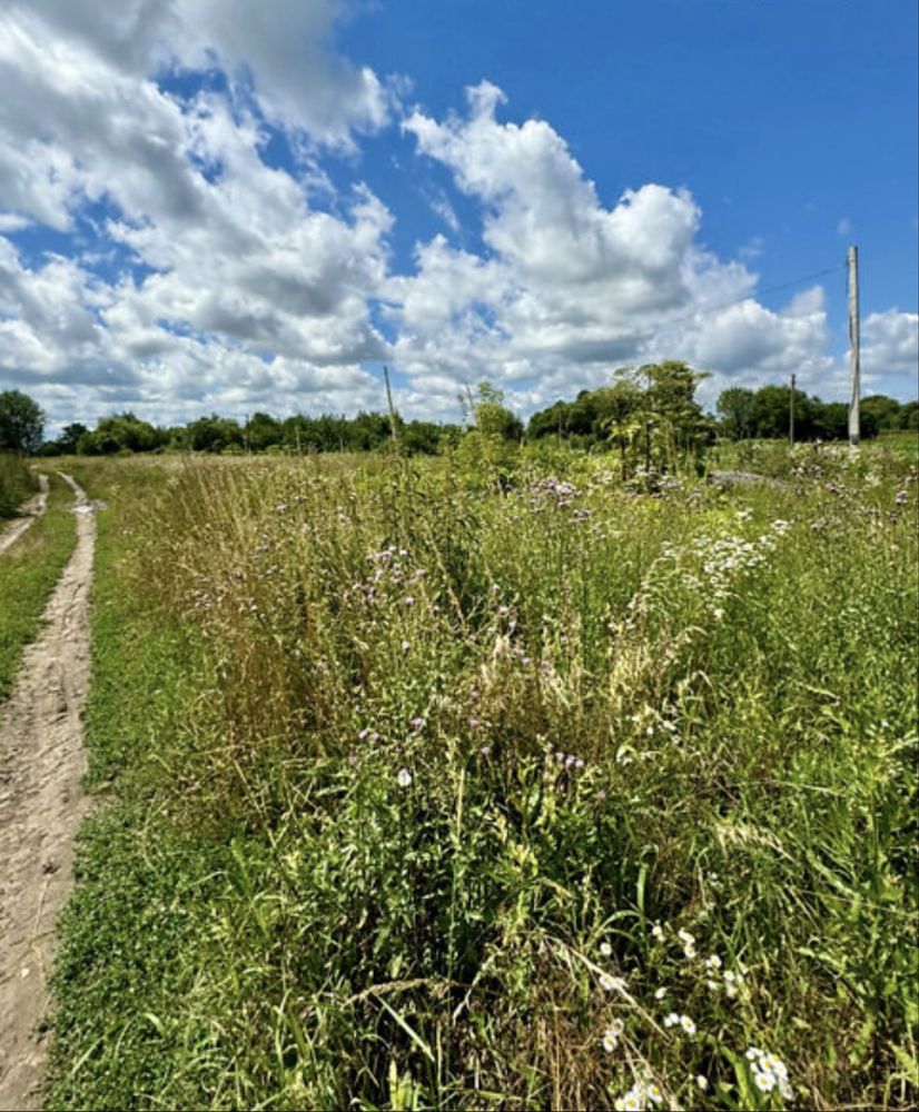 Фото ПЛОЩА - 21 CОТ., ЦІНА - 29 000 $
 у Вінниці