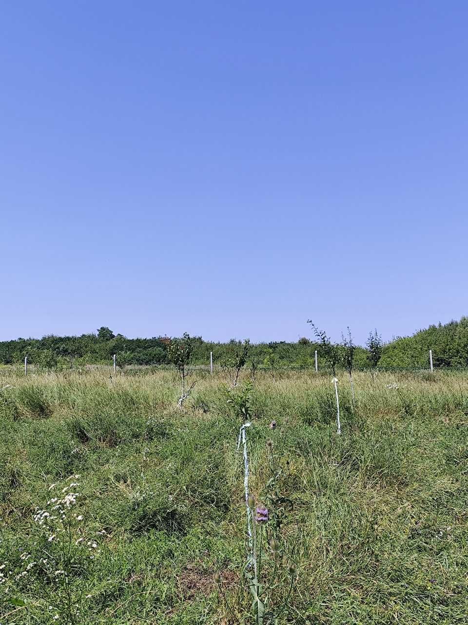 Фото ПЛОЩА - 200 CОТ., ЦІНА - 41 000 $
 у Вінниці