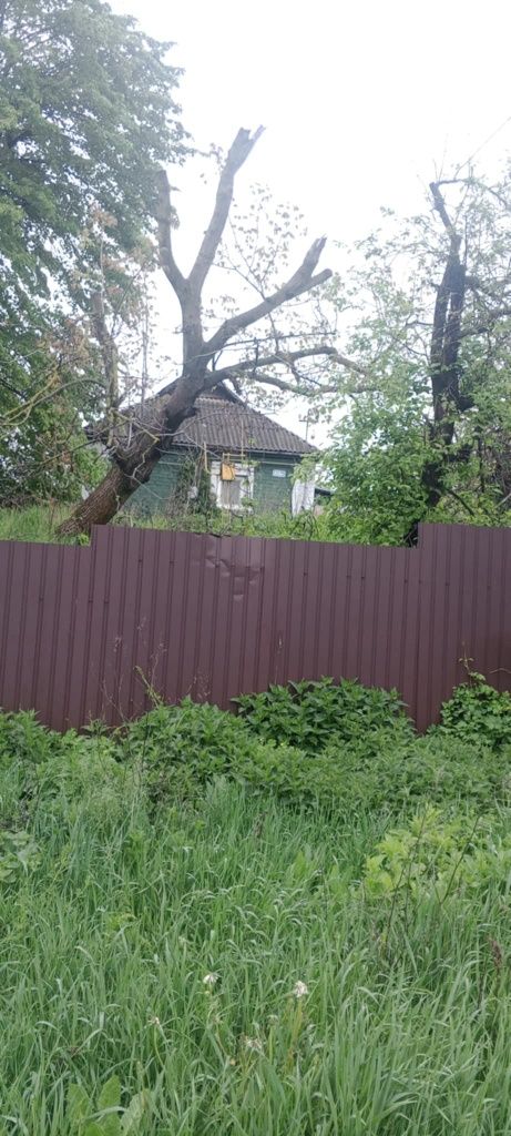Object Photo