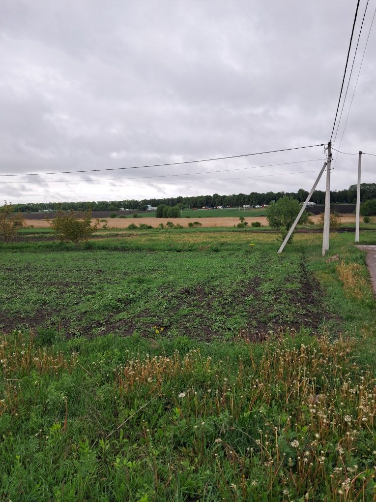 Фото об'єкта