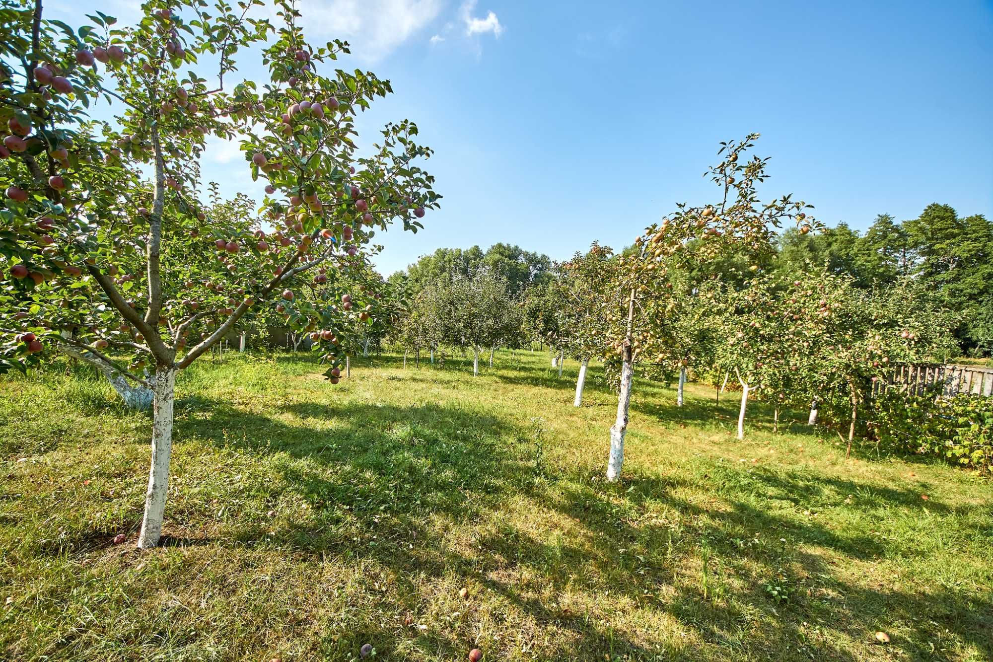 Фото 2 КІМ. БУДИНОК, ПЛОЩА - 56 м², ЦІНА - 16 500 $
 у Вінниці
