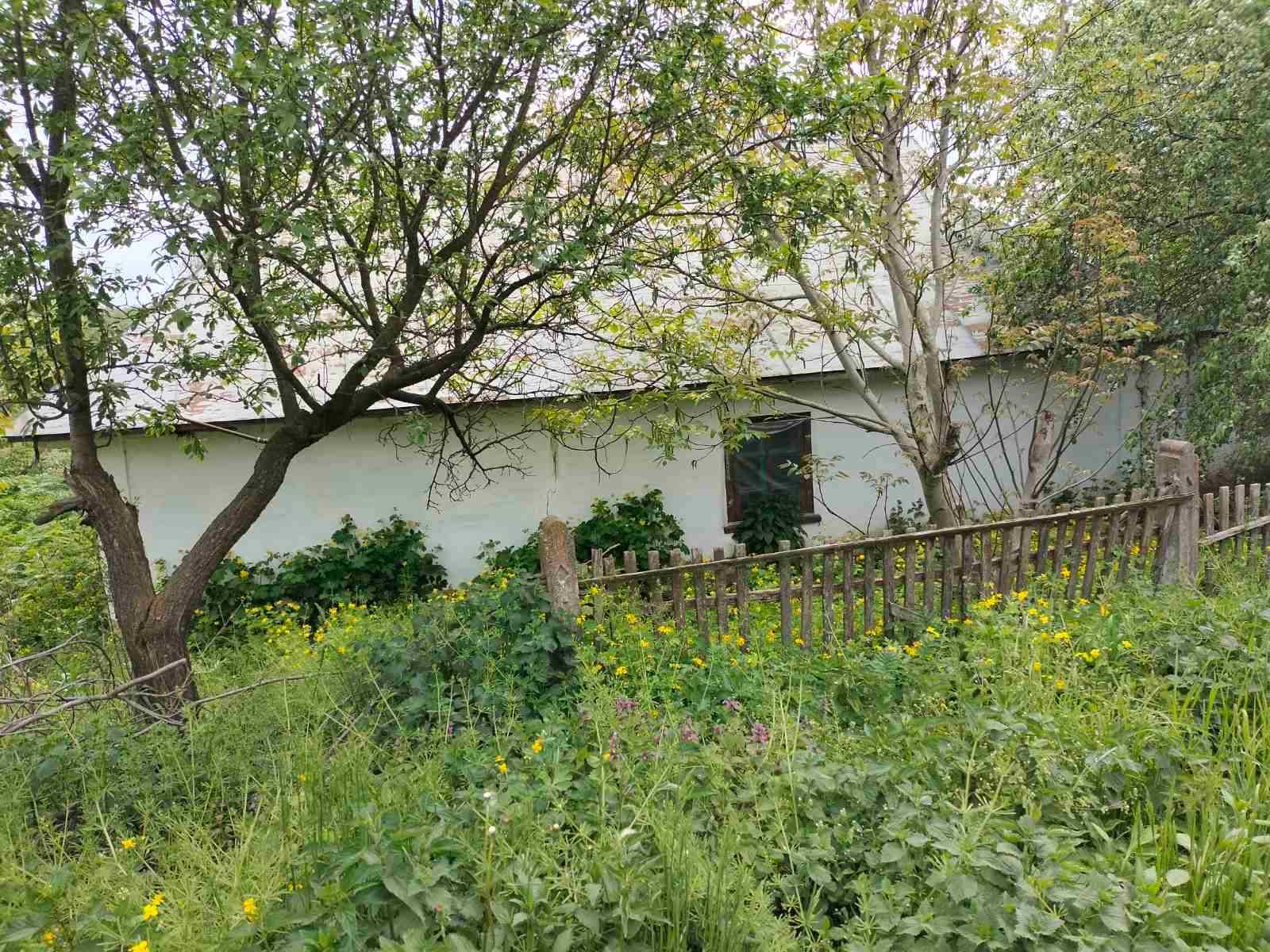 Фото 3 КІМ. БУДИНОК, ПЛОЩА - 54 м², ЦІНА - 3 400 $
 у Вінниці