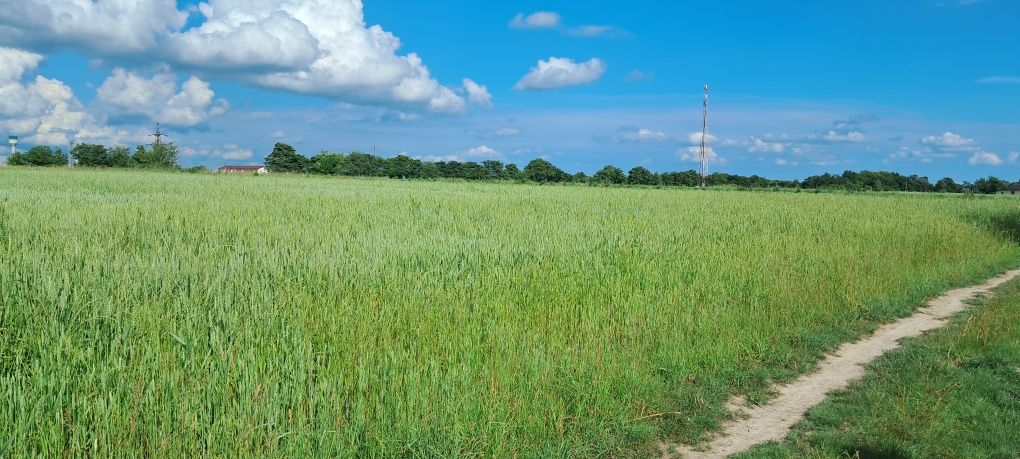 Фото ПЛОЩА - 19 CОТ., ЦІНА - 15 000 $
 у Вінниці