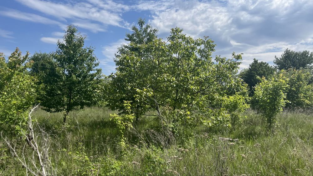 Фото ПЛОЩА - 12.5 CОТ., ЦІНА - 5 500 $
 у Вінниці