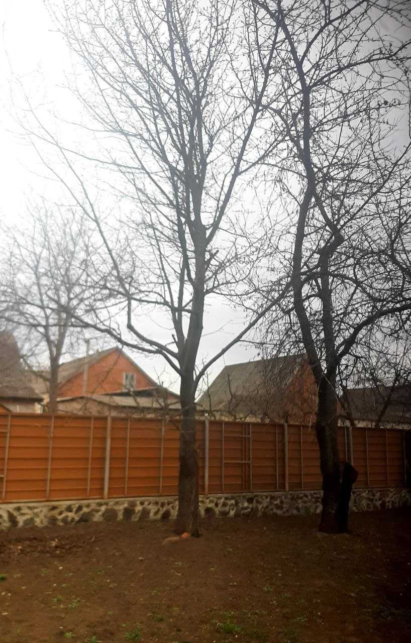 Фото ПЛОЩА - 10 CОТ., ЦІНА - 4 000 $
 у Вінниці
