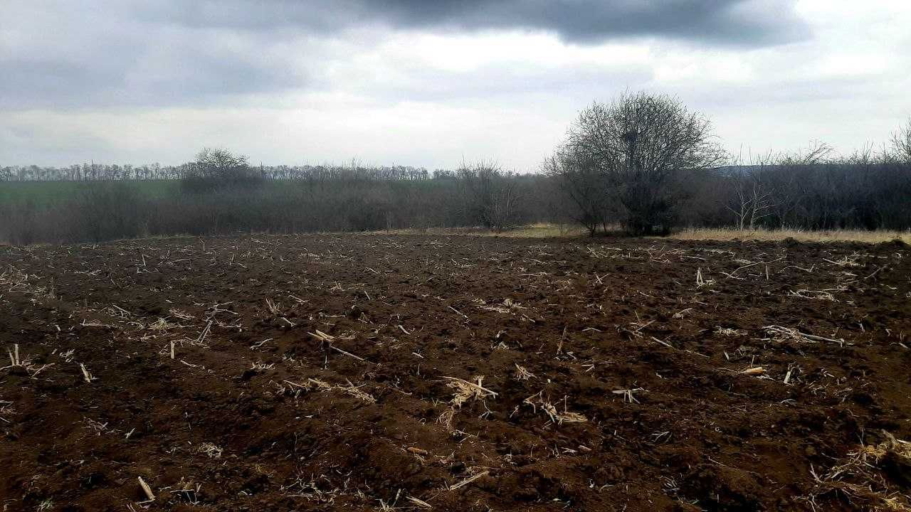 Фото ПЛОЩА - 10 CОТ., ЦІНА - 4 000 $
 у Вінниці