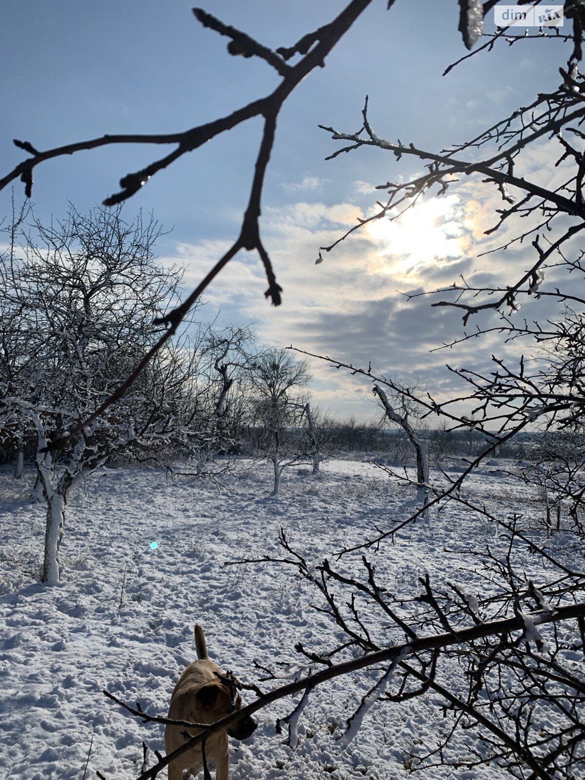 Фото 4 КІМ. БУДИНОК, ПЛОЩА - 90 м², ЦІНА - 50 000 $
 у Вінниці